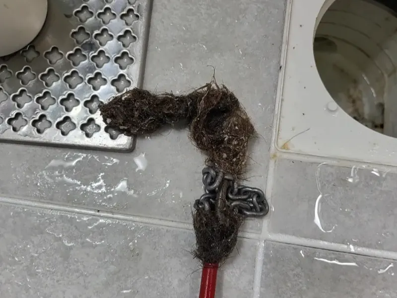 태안 바닥 배수구에서 끌어낸 머리카락 뭉치